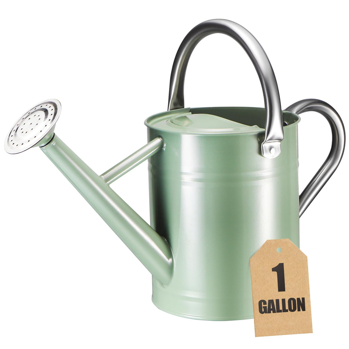 1 Gallon Watering Can for Outdoor&Indoor Plants