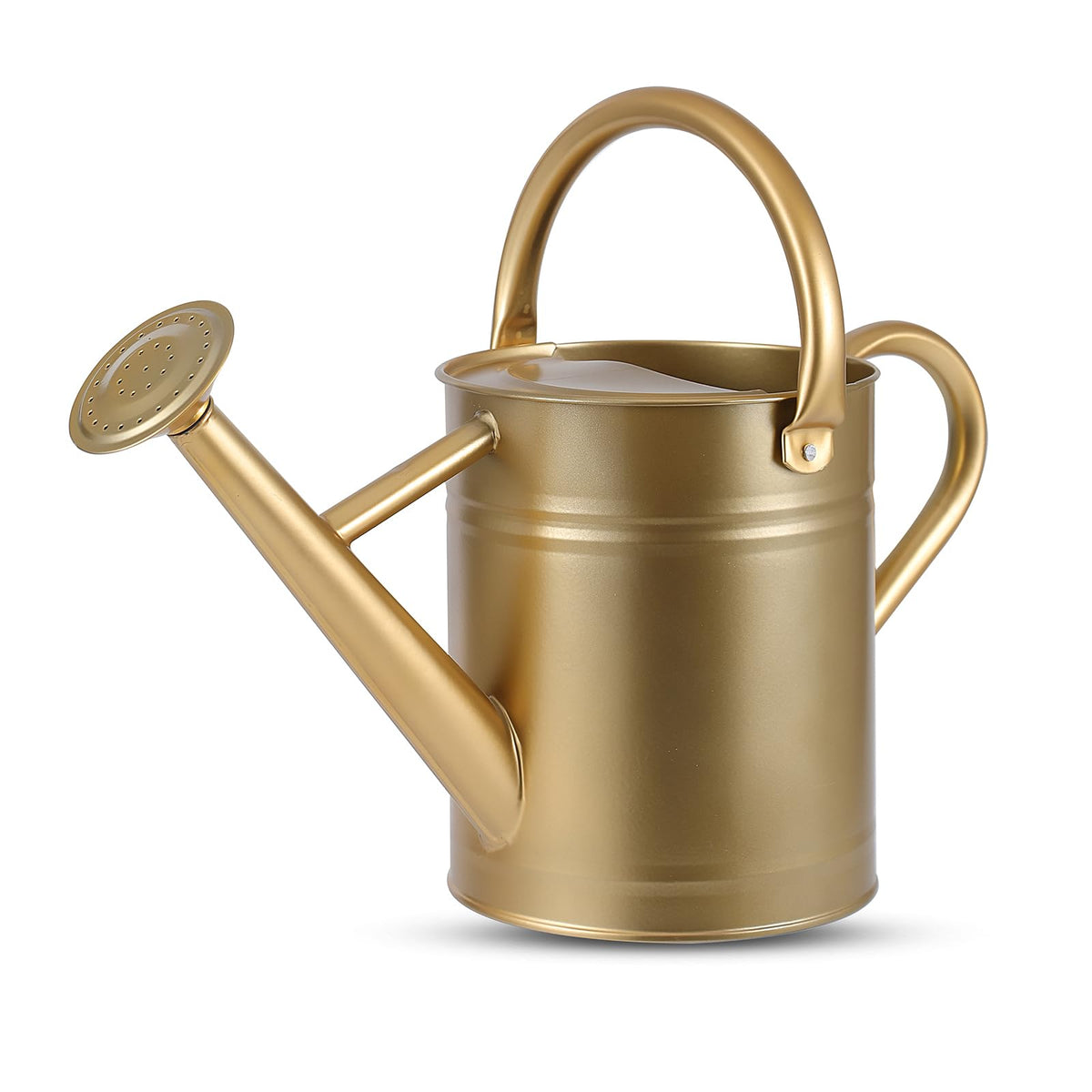 1 Gallon Watering Can for Plants, Watering Cans for Indoor&Outdoor Gardening, Galvanized Steel Watering Pot with Removable Spout, Metal Water Can with Ergonomic Movable Handle(White)