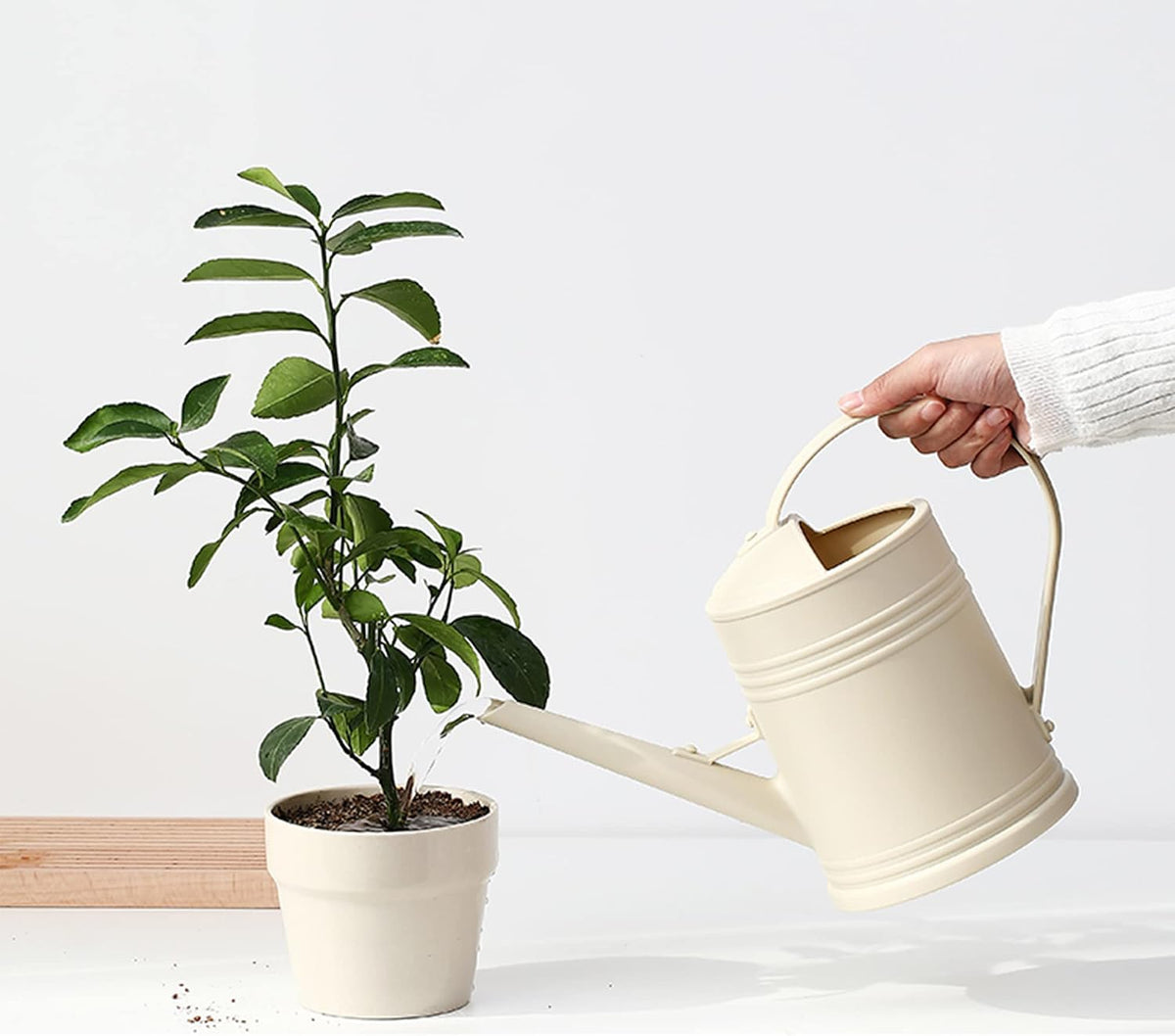 Plastic Indoor Watering Can with Sprinkler Head - 68 oz, 1/2 Gallons