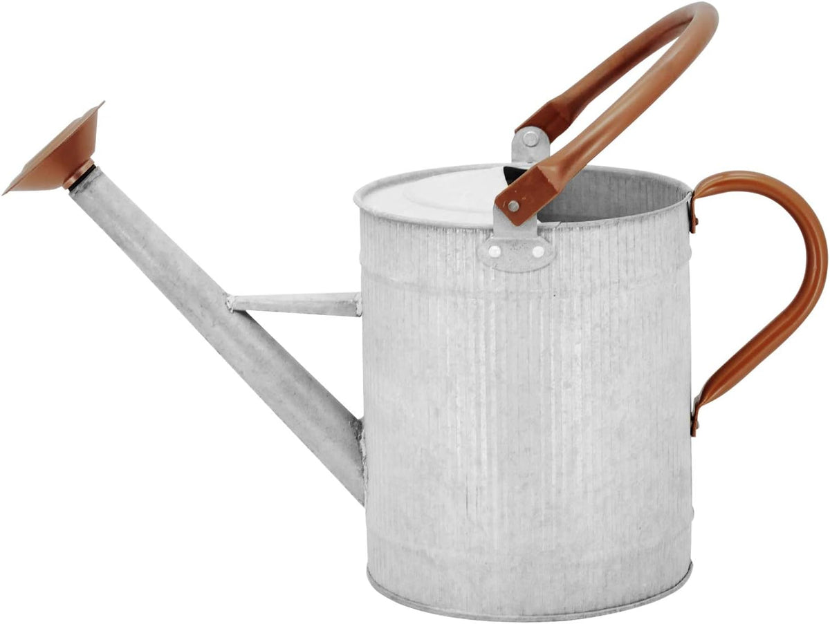 1 Gallon Watering Can, Metal Watering Can with Removable Spout, Farmhouse Galvanzied Water Can, Nice Plant Water Can for Indoor Use and for Outdoor Use