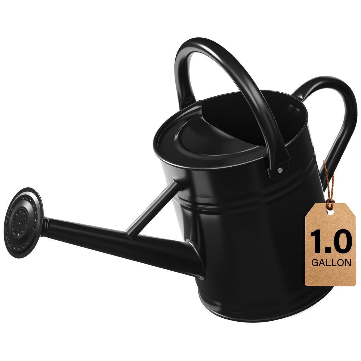 1 Gallon Watering Can for Outdoor&Indoor Plants