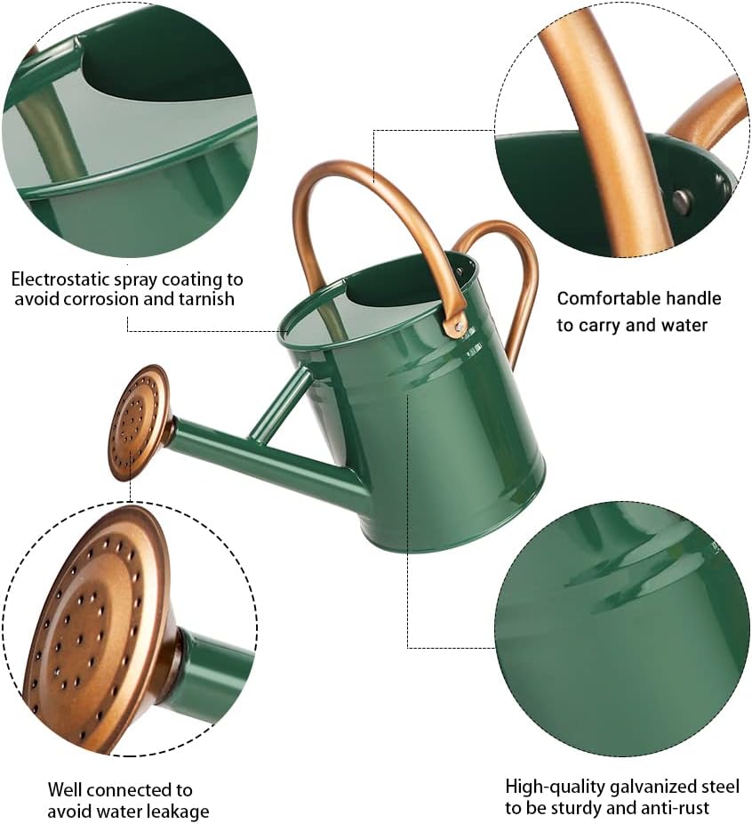 Metal Watering Can with Removable Spout, Galvanized Steel Plants Water Can for Women, Men and Kids' Outdoor or Indoor Gardening - Nice Flower Watering Pot Gift & Decoration (Green, 0.6 Gallon)