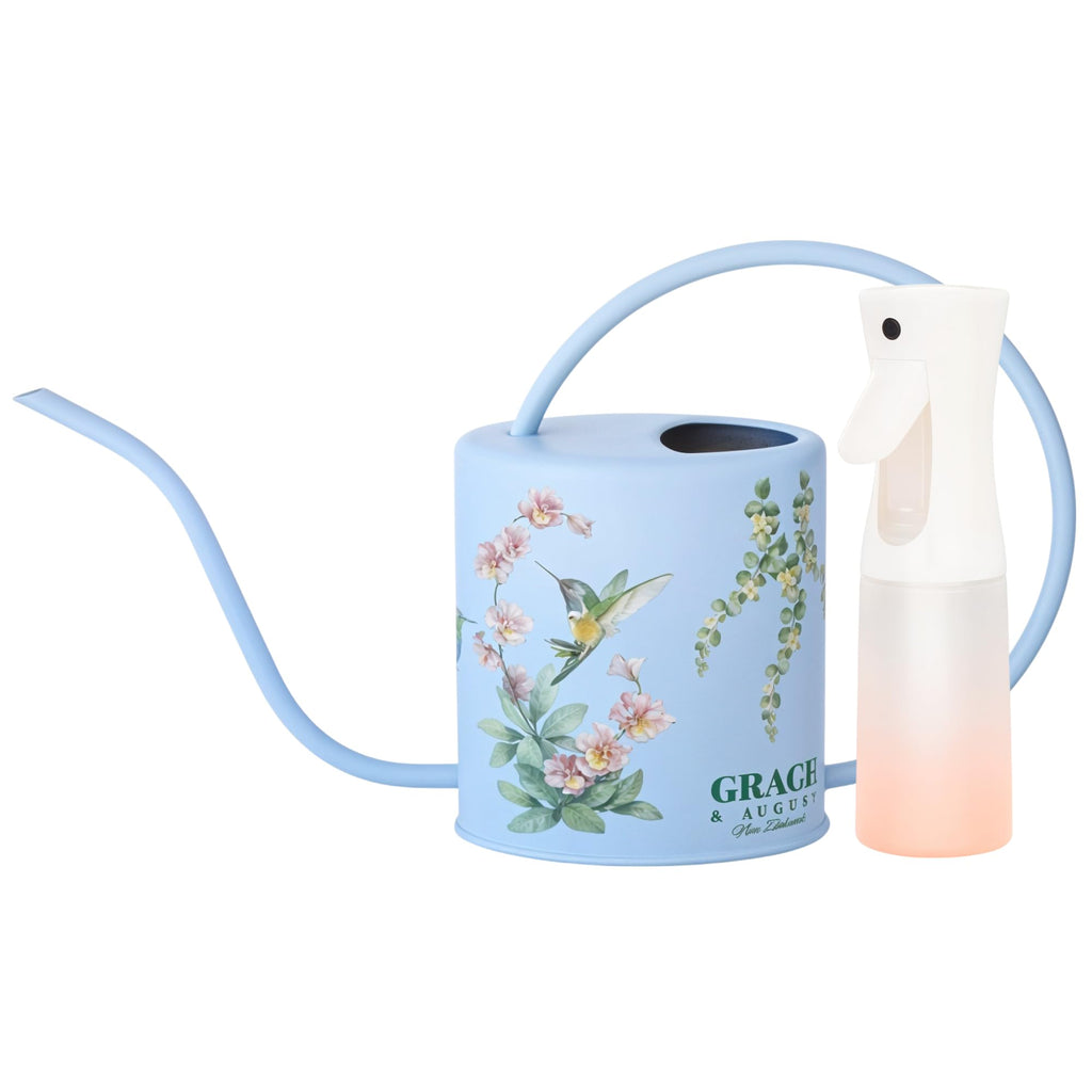 Indoor Watering Can & Mist Spray Bottle Set for Indoor Plants - Decorative