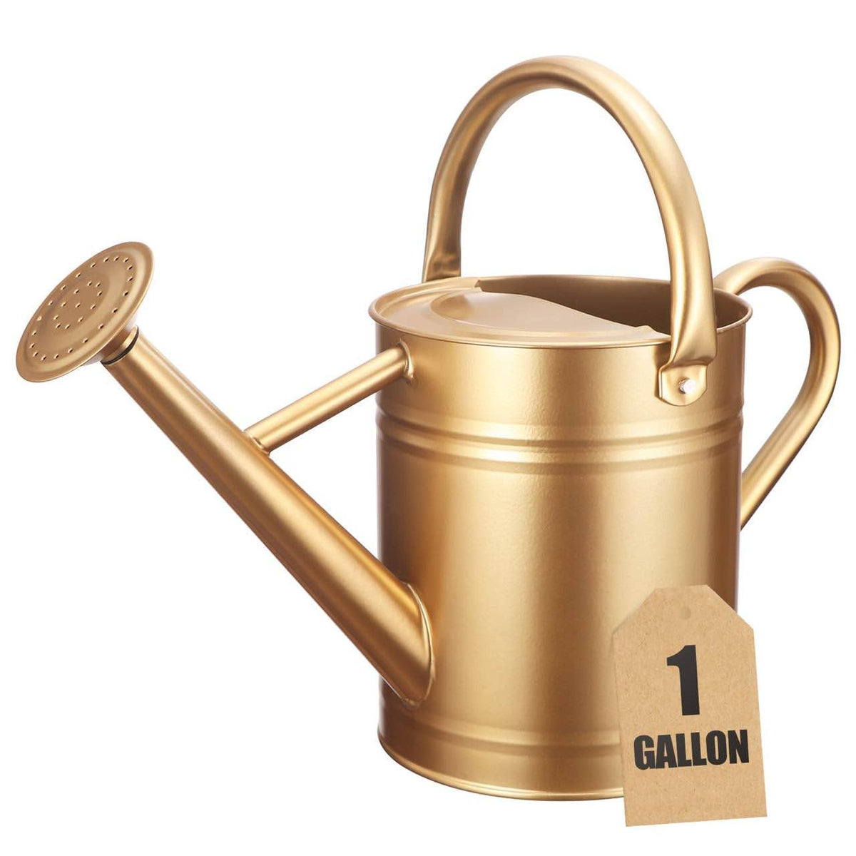 1 Gallon Watering Can for Outdoor&Indoor Plants