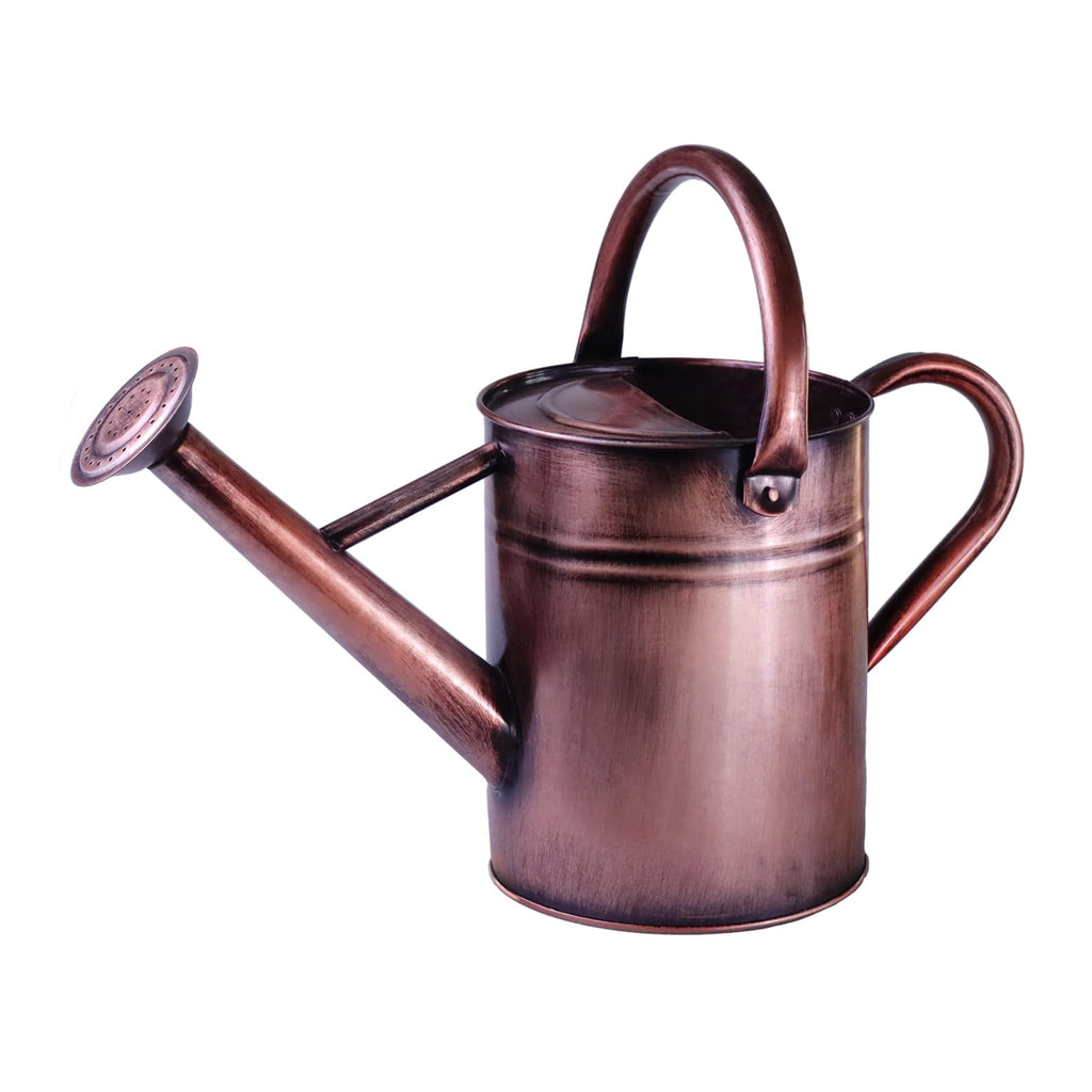 Metal Watering Can for Outdoor Plants, 1 Gallon Galvanized Steel Watering Can with Removable spout for Outdoor & Indoor Use, Perfect for Garden Flower, Houseplants, Forest Green