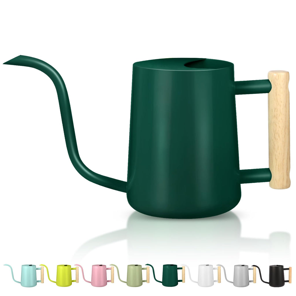 GUKJOB Plant Watering Can,35oz Metal Watering Can,Stainless Steel Indoor Plants with Long Curved Spout,Small Bonsai Outdoor Garden Modern Decorative(Black)