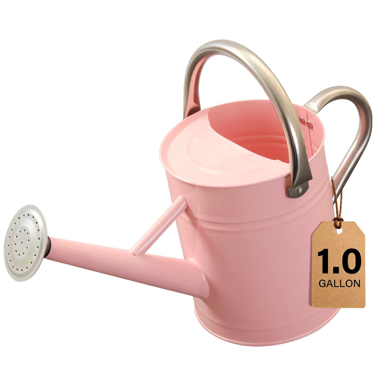 1 Gallon Watering Can for Outdoor&Indoor Plants