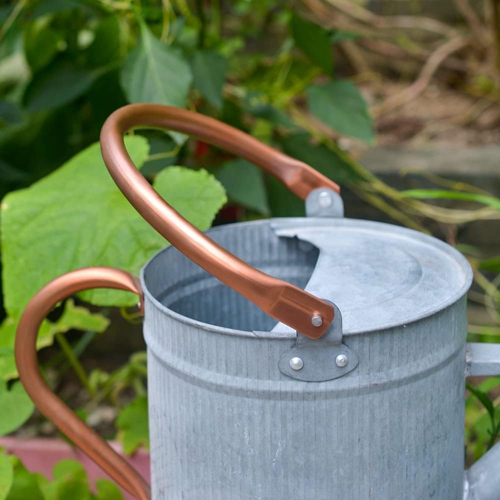 1 Gallon Watering Can, Metal Watering Can with Removable Spout, Farmhouse Galvanzied Water Can, Nice Plant Water Can for Indoor Use and for Outdoor Use