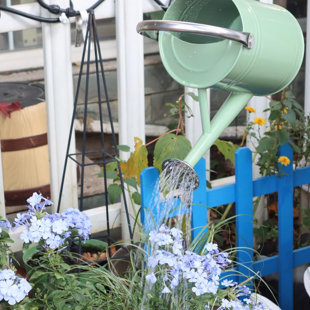 Metal Watering Can 1 Gallon for Outdoor Garden Plants, CGreen