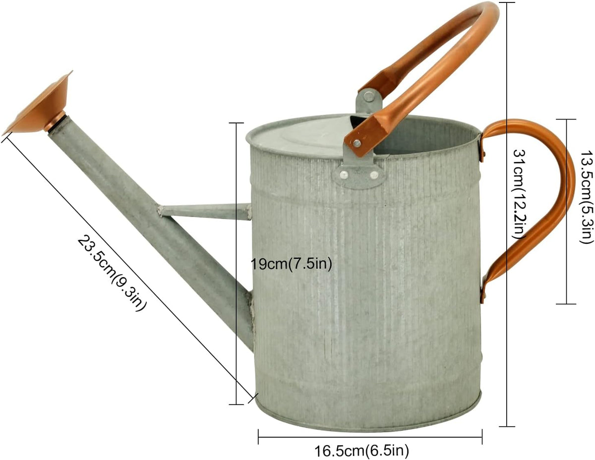 1 Gallon Watering Can, Metal Watering Can with Removable Spout, Farmhouse Galvanzied Water Can, Nice Plant Water Can for Indoor Use and for Outdoor Use