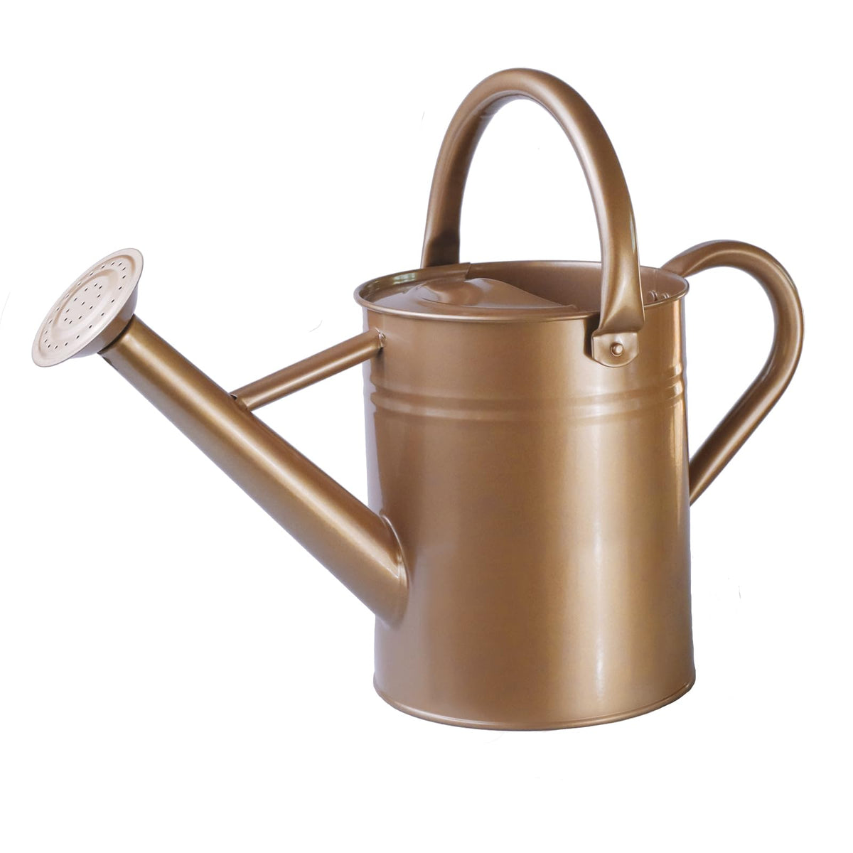 Metal Watering Can for Outdoor Plants, 1 Gallon Galvanized Steel Watering Can with Removable spout for Outdoor & Indoor Use, Perfect for Garden Flower, Houseplants, Forest Green