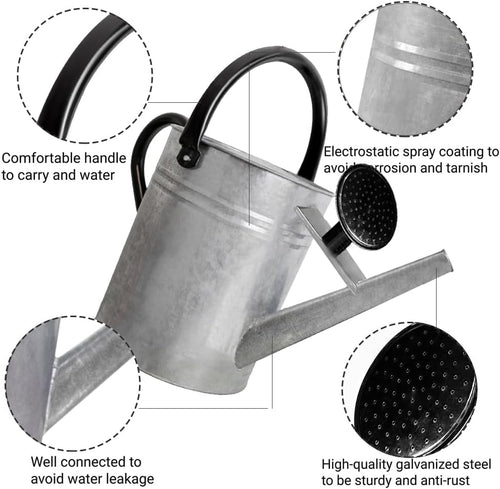 1 Gallon Metal Watering Can with Removable Spout, Nice Galvanized Steel Water Can for Indoor and Outdoor Plants (House Plants)