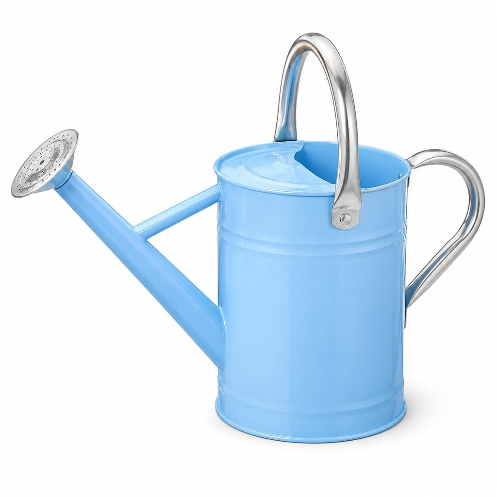 1 Gallon Metal Watering Can for Indoor Outdoor Plants, Cream Green