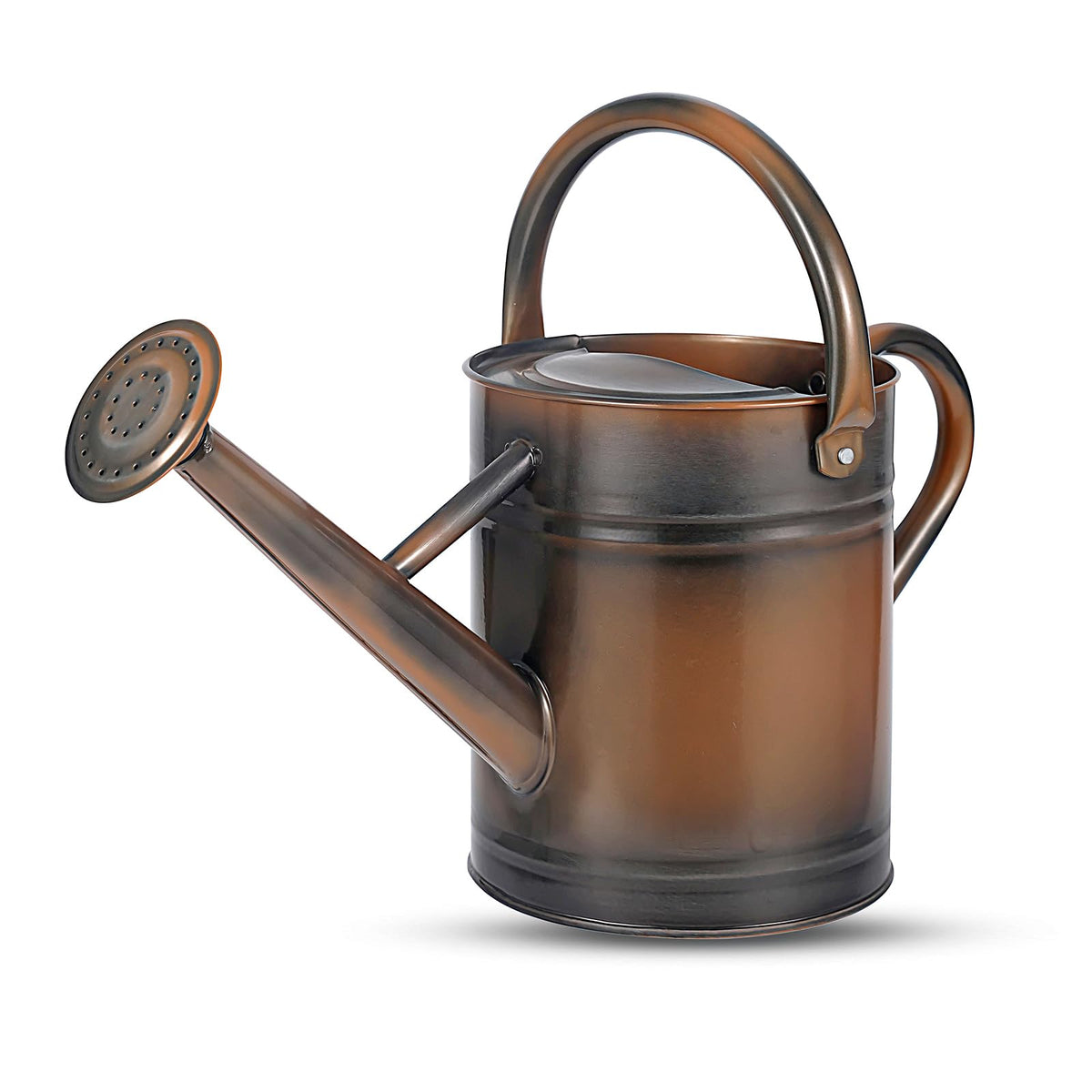 1 Gallon Watering Can for Plants, Watering Cans for Indoor&Outdoor Gardening, Galvanized Steel Watering Pot with Removable Spout, Metal Water Can with Ergonomic Movable Handle(White)