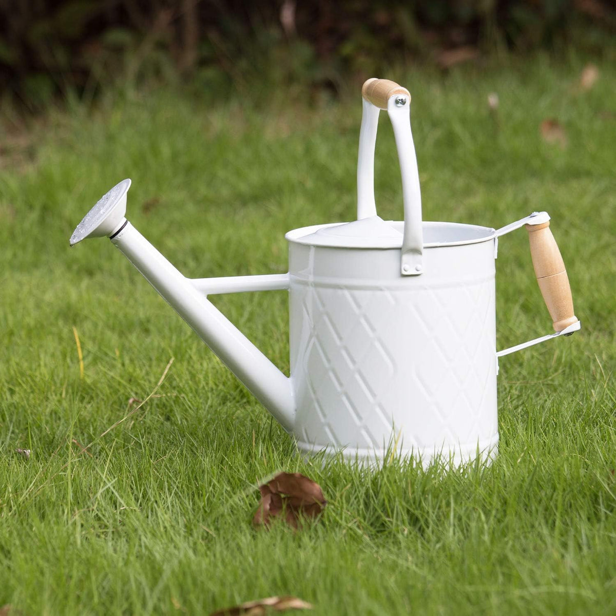 1 Gallon Watering Can, Metal Watering Can with Removable Spout, Farmhouse Galvanzied Water Can, Nice Plant Water Can for Indoor Use and for Outdoor Use