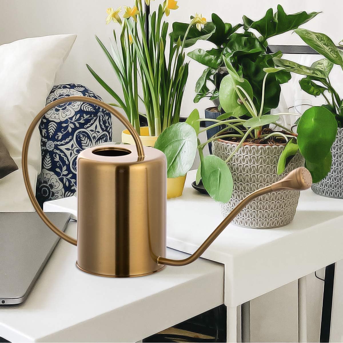 Yowon 1/2 Gallon 68oz Long Spout Stainless Steel Gold Colored Watering Can for Indoor Plant Watering or Outdoor Gardening with 2 Removable Spray Spout for Flowers