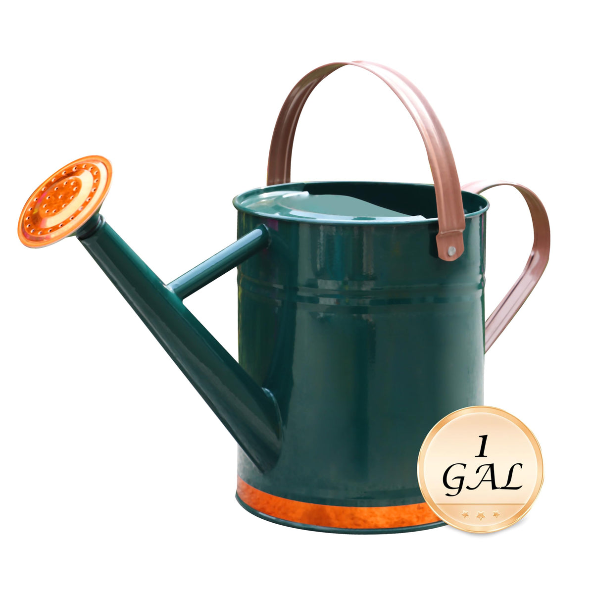 Metal Watering Can for Outdoor Plants, Watering Can 1 Gallon (NewGreen)