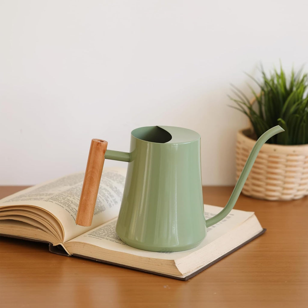 Green Moon 1L/35oz Metal Watering Can Indoor with Long Spout, Sage Green