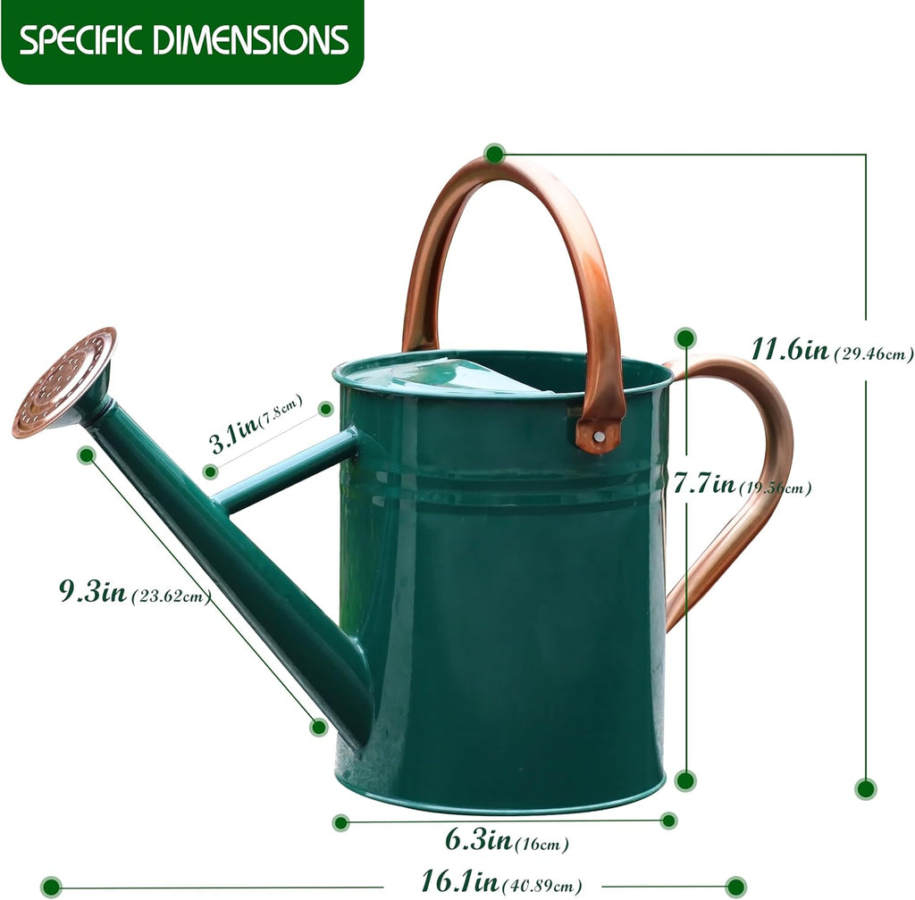 Metal Watering Can for Outdoor Plants, Watering Can 1 Gallon (NewGreen)