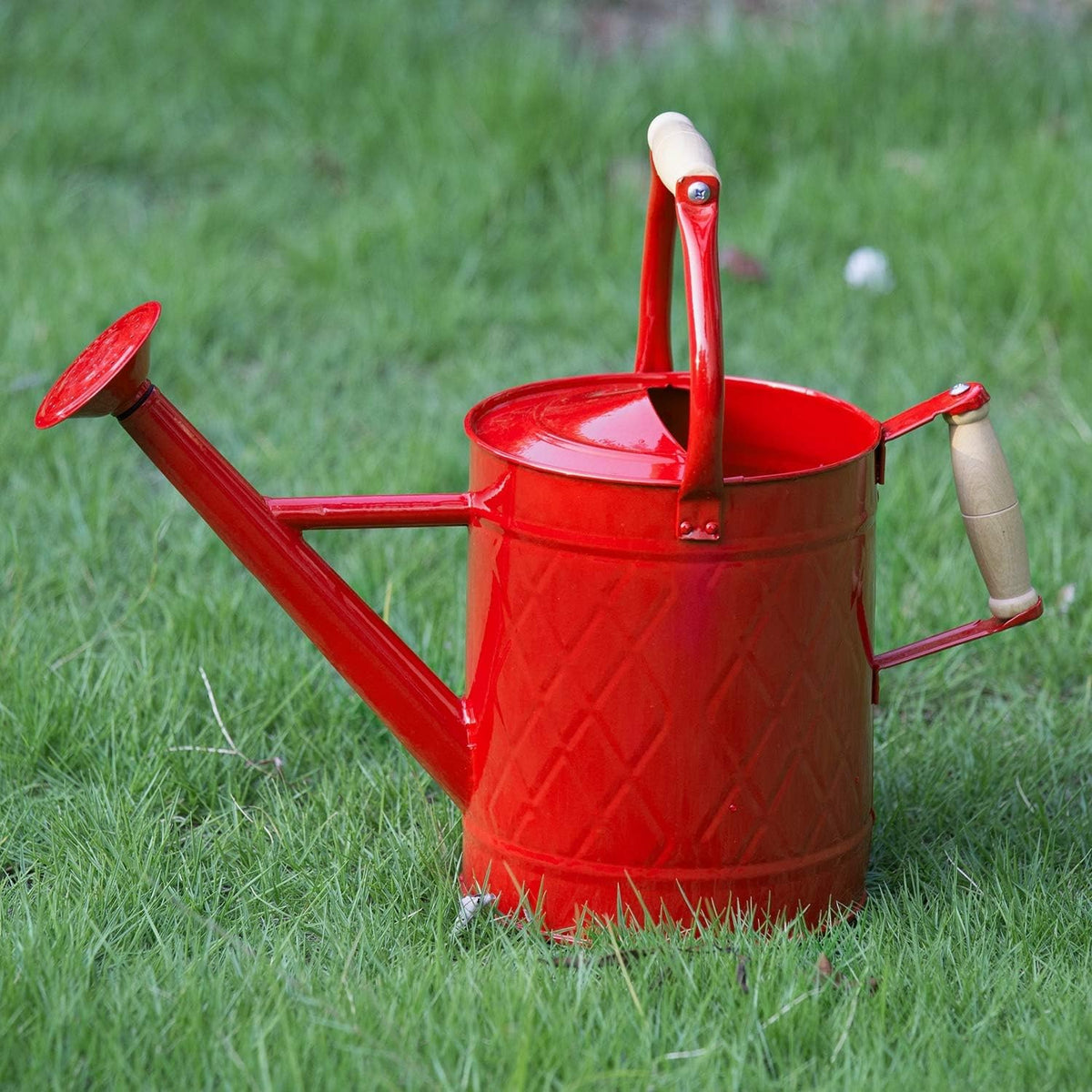 1 Gallon Watering Can, Metal Watering Can with Removable Spout, Farmhouse Galvanzied Water Can, Nice Plant Water Can for Indoor Use and for Outdoor Use