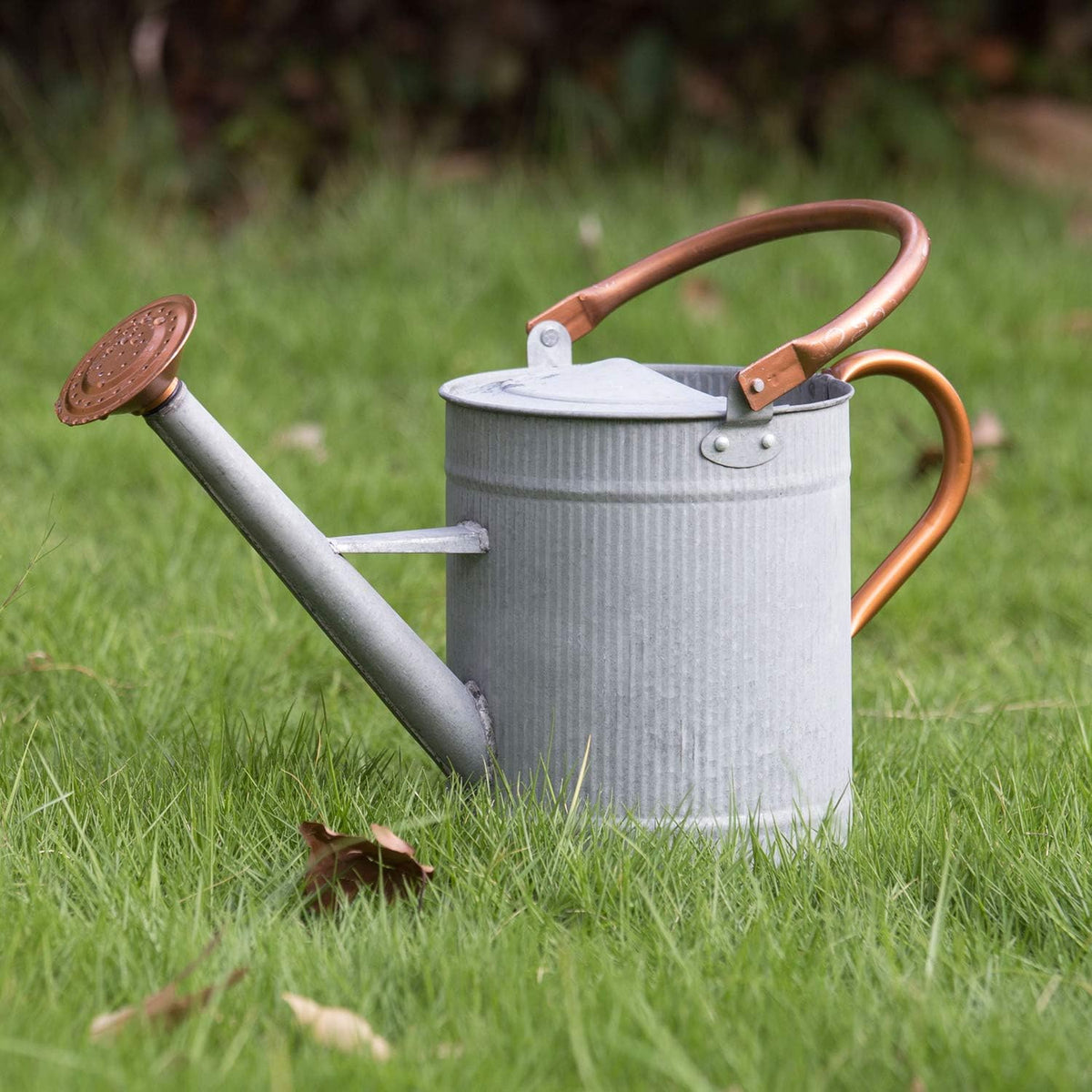 1 Gallon Watering Can, Metal Watering Can with Removable Spout, Farmhouse Galvanzied Water Can, Nice Plant Water Can for Indoor Use and for Outdoor Use