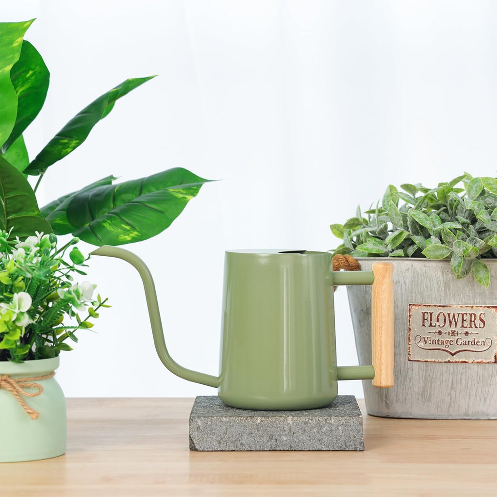 Metal Watering Can for Indoor Plants, 35oz Sage Green Cute Stainless Steel Pot with Long Spout for Indoor House Plants Bonsai Outdoor Garden Flower Decorative