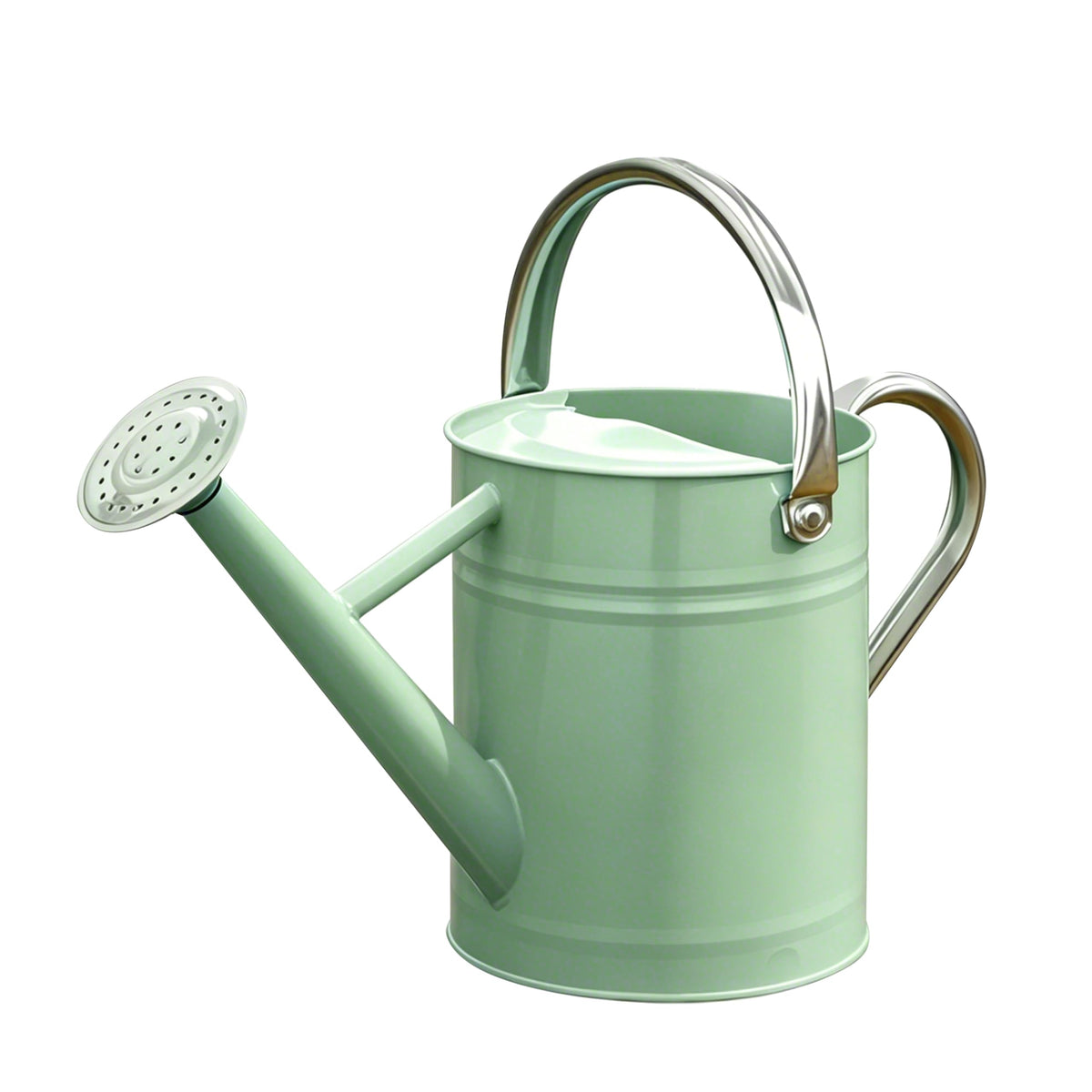 Metal Watering Can for Outdoor Plants, Watering Can 1 Gallon (NewGreen)