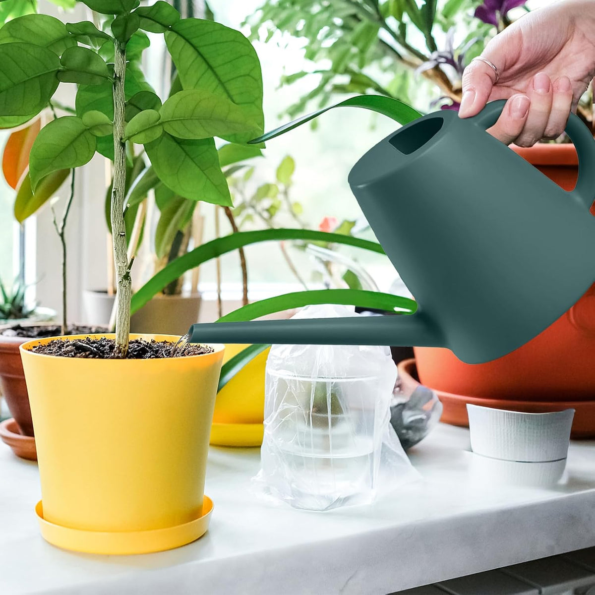 Indoor and Outdoor Watering Can - Long Spout -1/2 Gallon (64oz) - Blackish Green