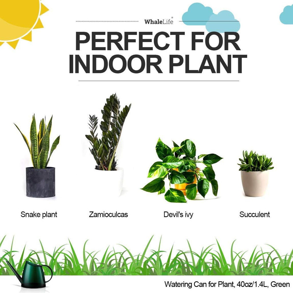 WhaleLife Small Indoor Plant Watering Can - 1.4L Dark Green Long Spout