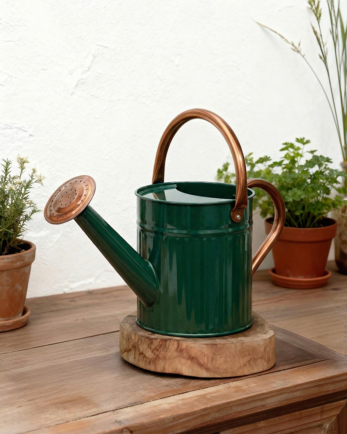 Bamworld Metal Watering Can for Indoor Outdoor Plant 1/2 Gallon Creamy