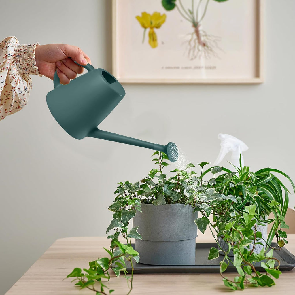 Indoor and Outdoor Watering Can - Long Spout -1/2 Gallon (64oz) - Blackish Green