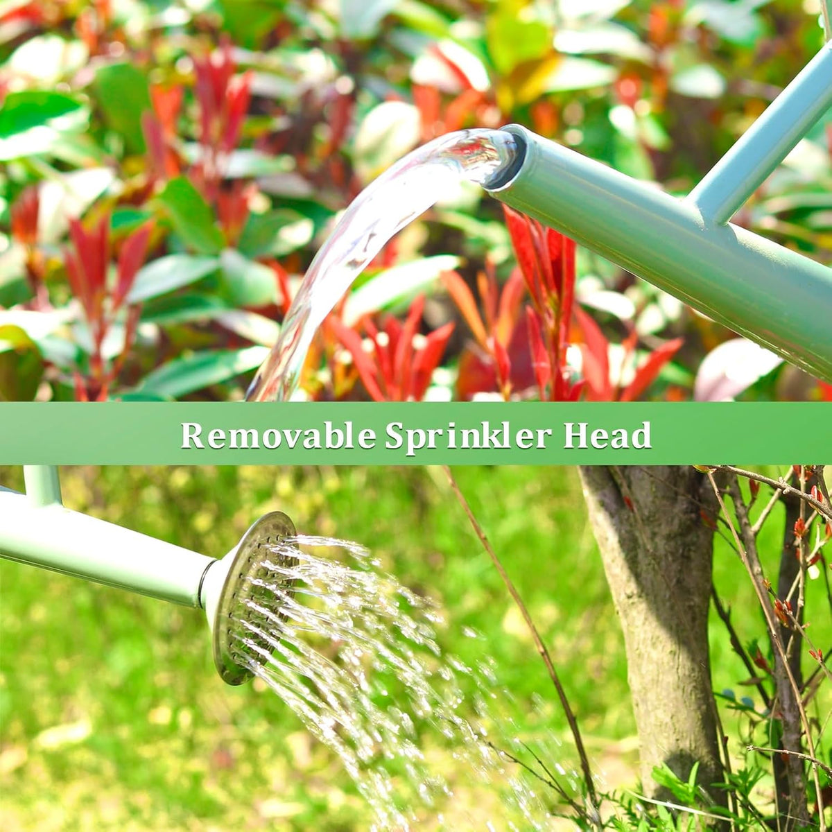 1 Gallon Watering Can for Outdoor&Indoor Plants
