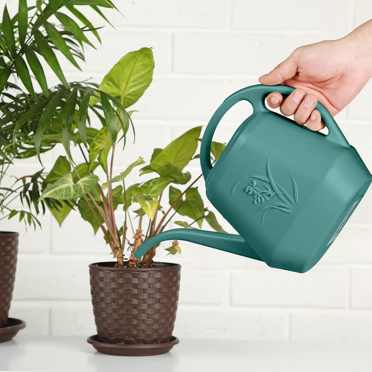 Plastic Watering Can - 1/2 Gallon - Green