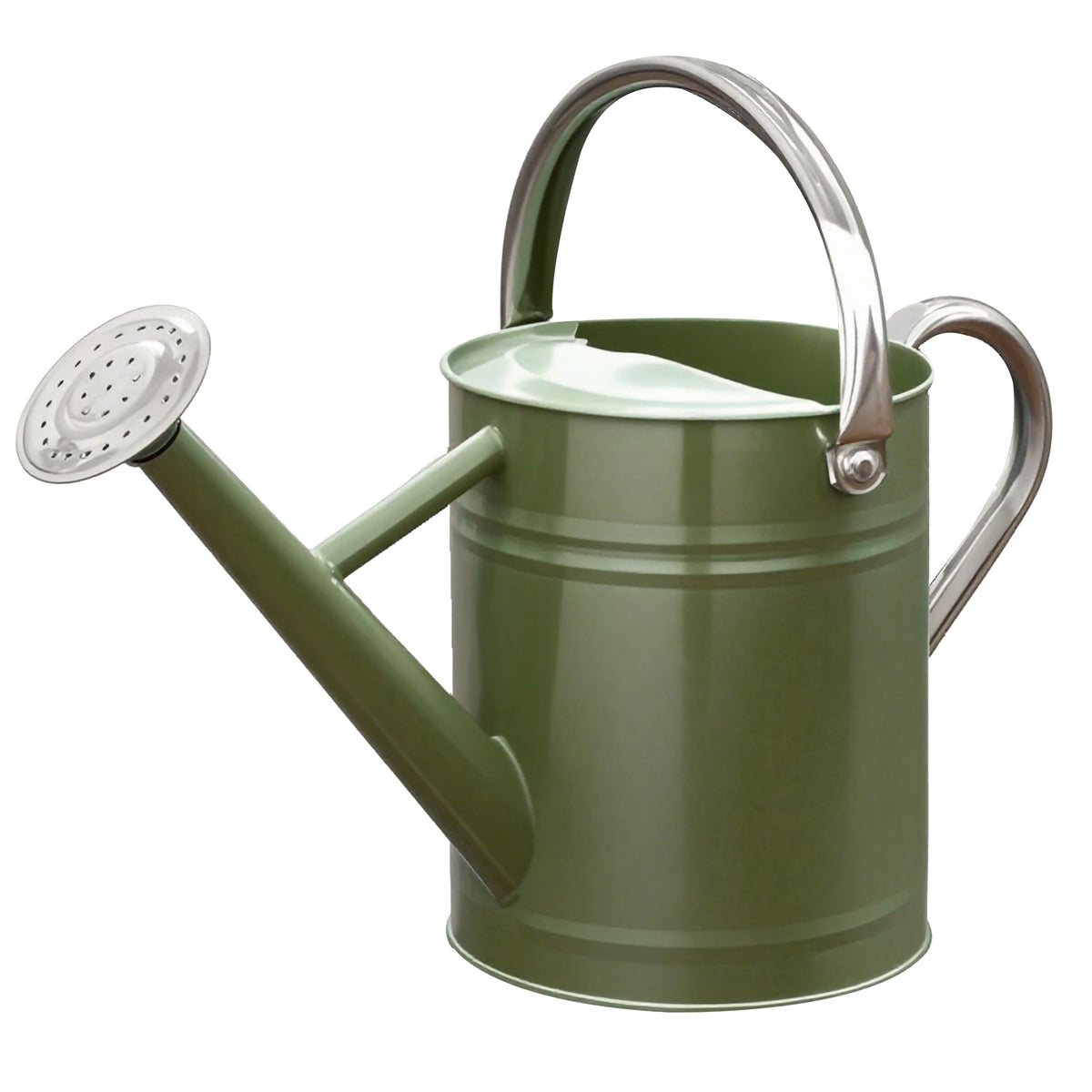 Metal Watering Can 1 Gallon for Outdoor Garden Plants, CGreen