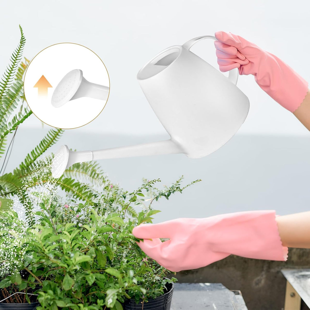 Plastic Watering Can - for Indoor and Outdoor House Plant Garden - with Long Spout - 1/2 Gallon - White