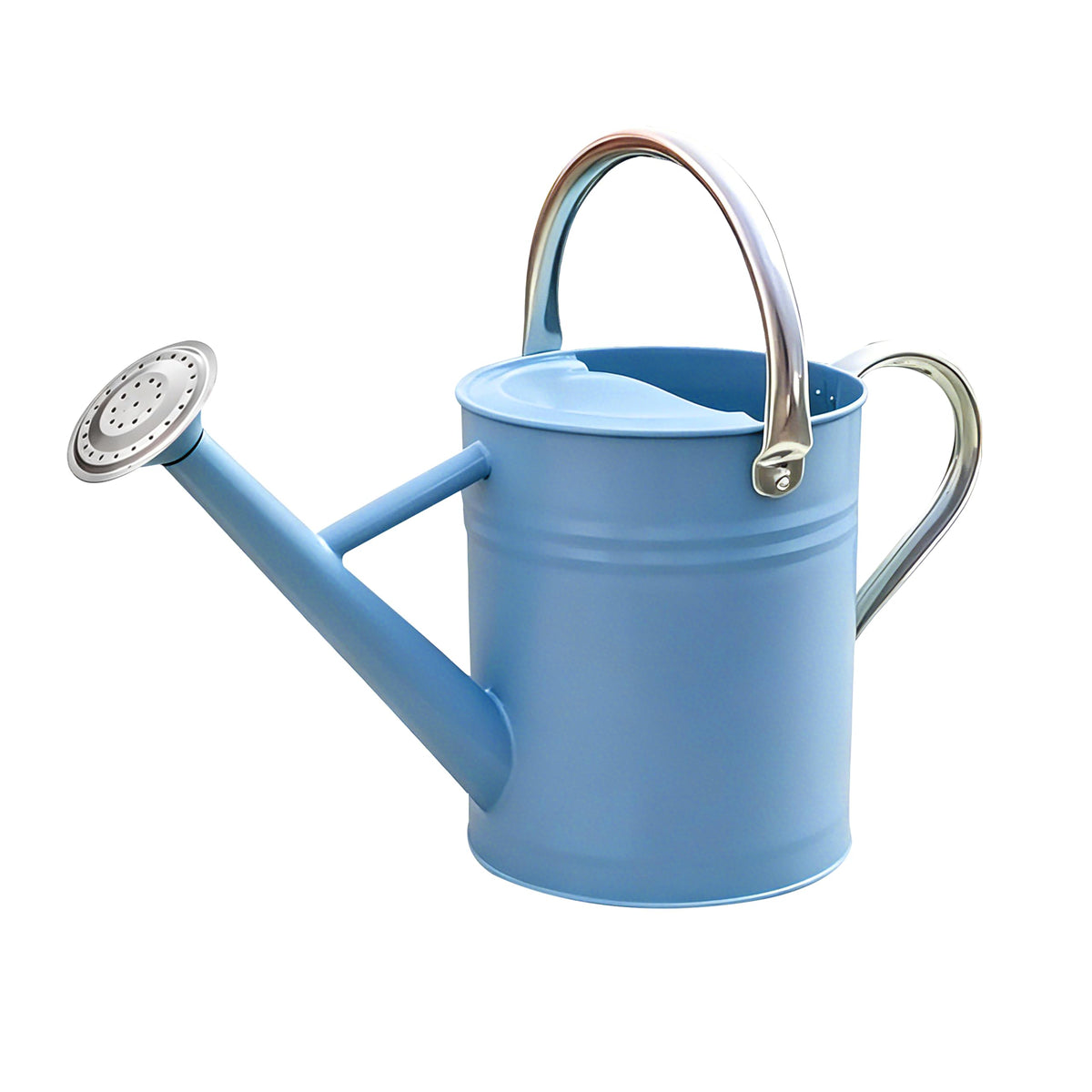 Metal Watering Can for Outdoor Plants, Watering Can 1 Gallon (NewGreen)
