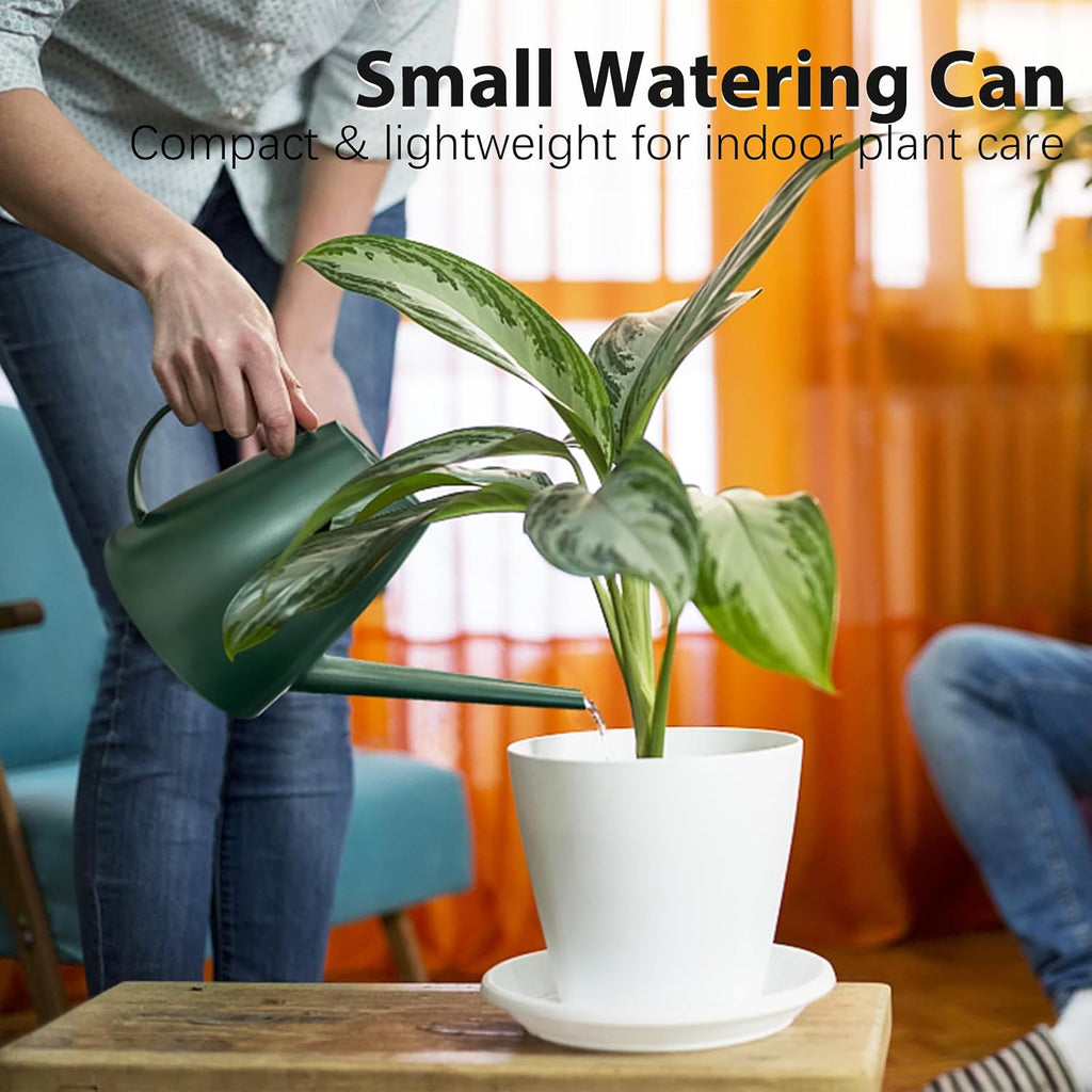 60 oz Watering Can, Small Watering Can for Indoor Plants with Long Spout
