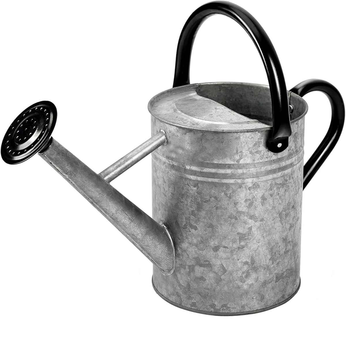 Metal Watering Can 1 Gallon for Outdoor Garden Plants, CGreen