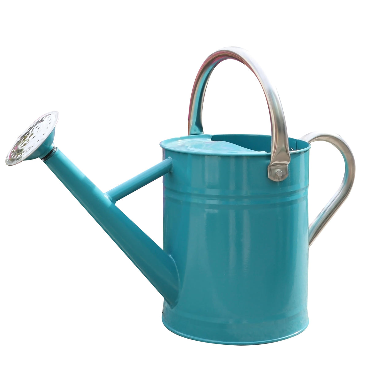 Metal Watering Can for Outdoor Plants, Watering Can 1 Gallon (NewGreen)