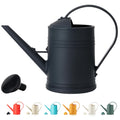 Plastic Indoor Watering Can with Sprinkler Head - 68 oz, 1/2 Gallons