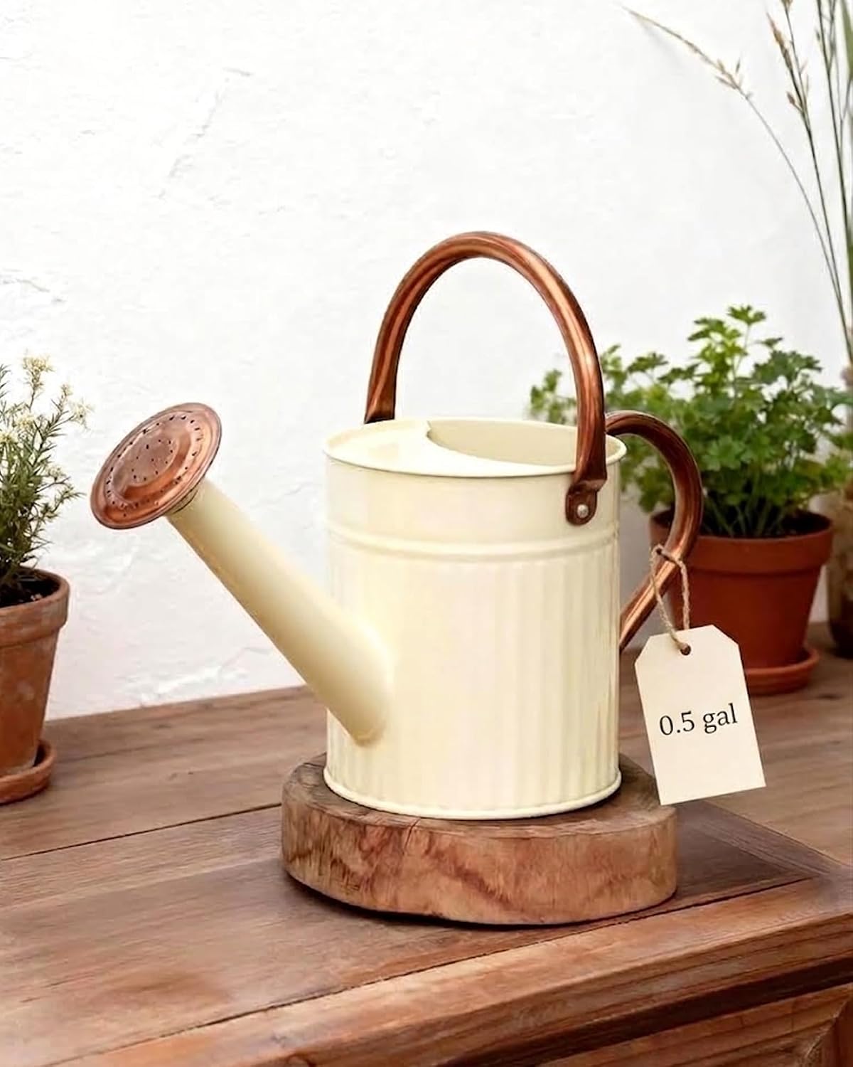 Bamworld Metal Watering Can for Indoor Outdoor Plant 1/2 Gallon Creamy