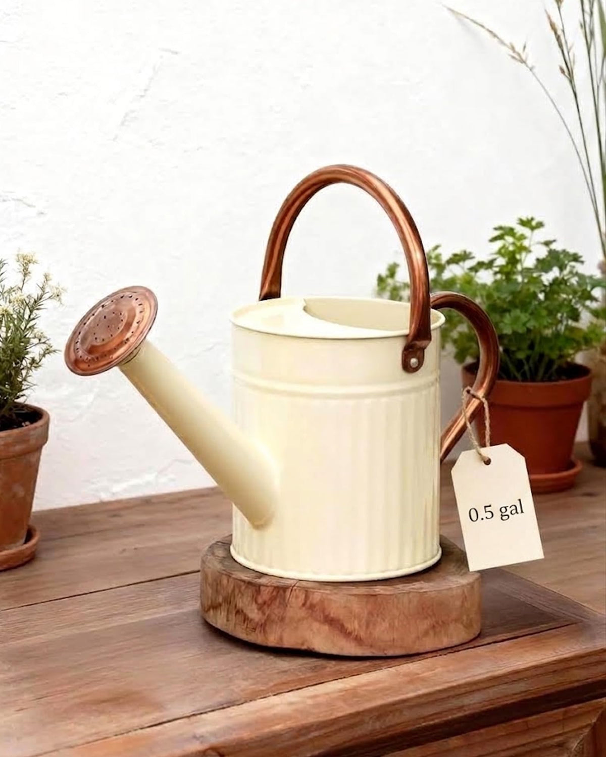 Bamworld Metal Watering Can for Indoor Outdoor Plant 1/2 Gallon Creamy