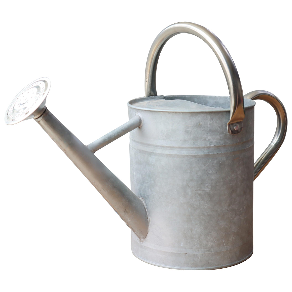 Metal Watering Can for Outdoor Plants, Watering Can 1 Gallon (NewGreen)