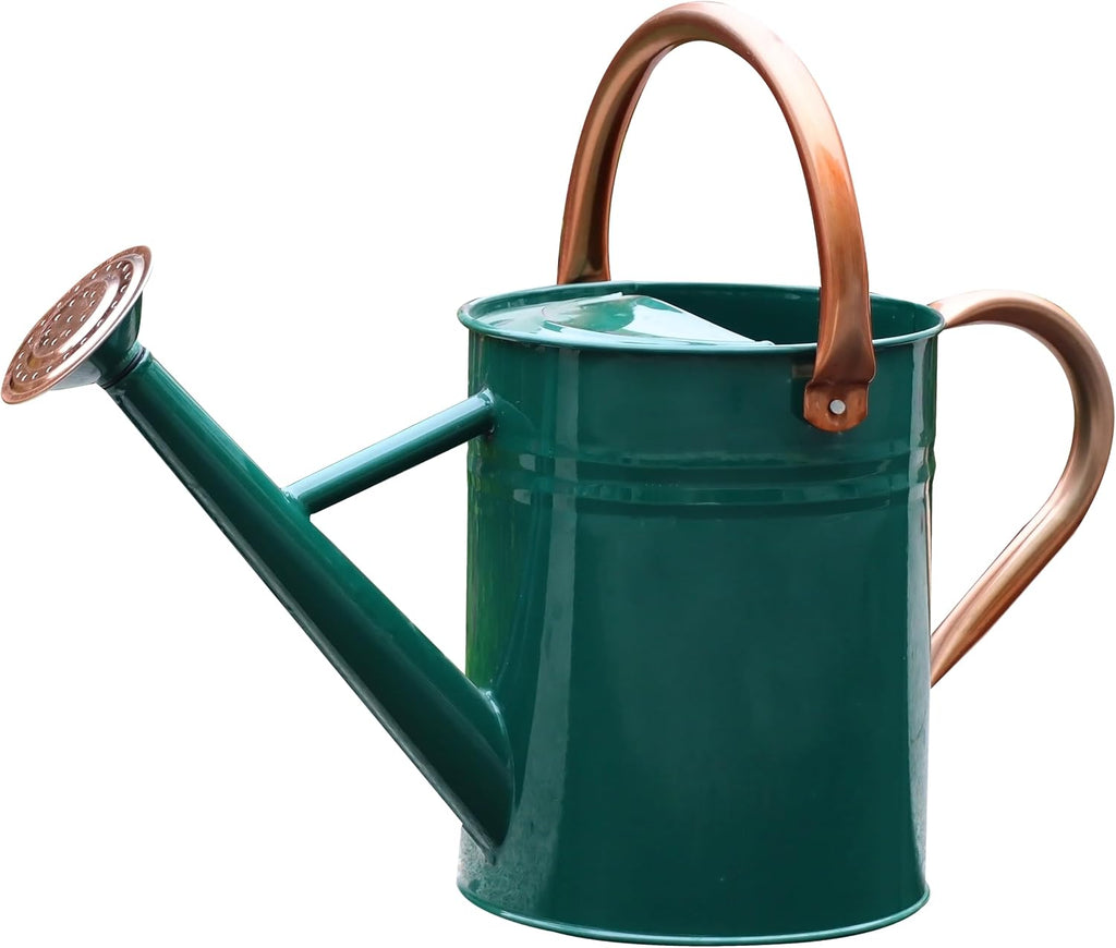 Metal Watering Can for Outdoor Plants, Watering Can 1 Gallon (NewGreen)