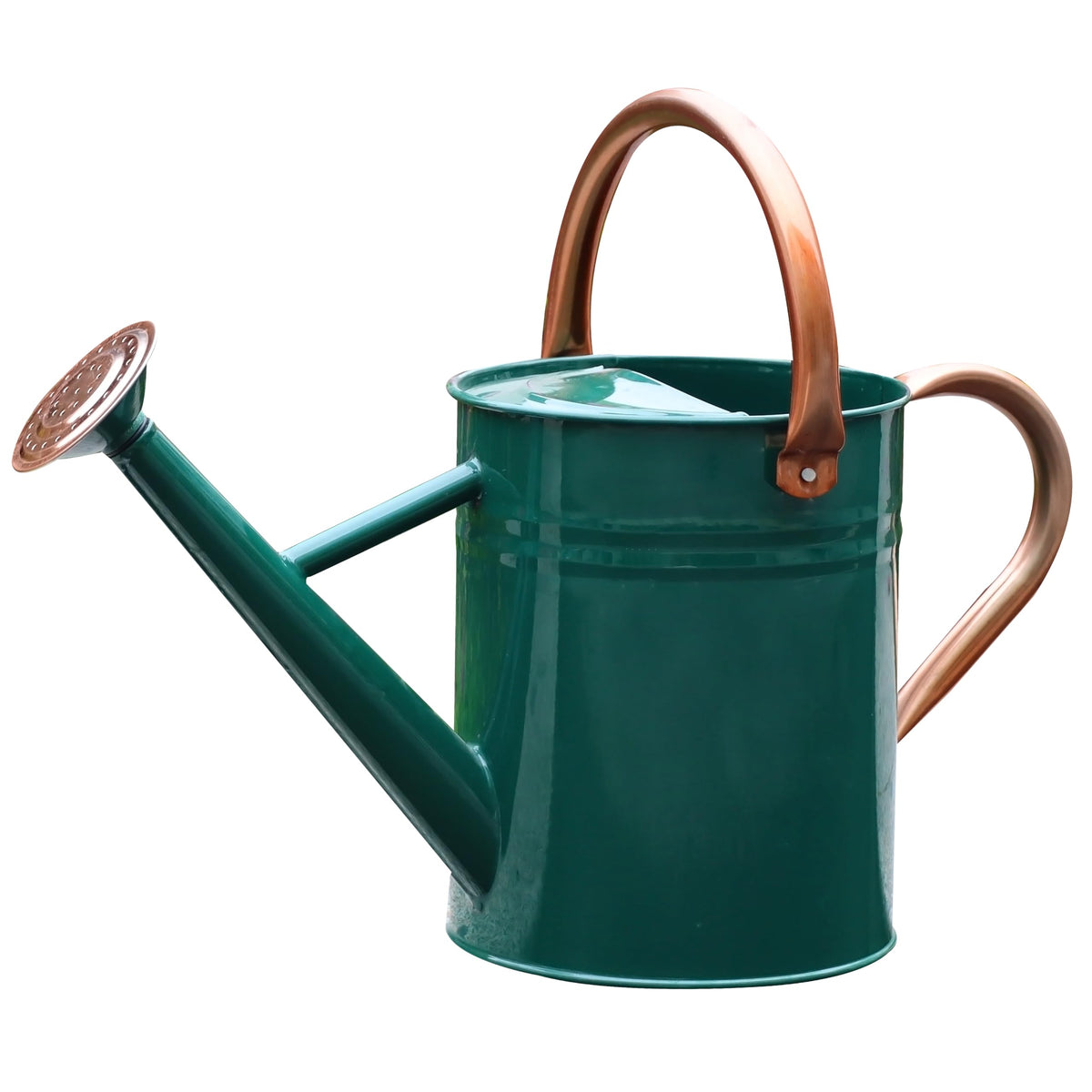 Metal Watering Can for Outdoor Plants, Watering Can 1 Gallon (NewGreen)