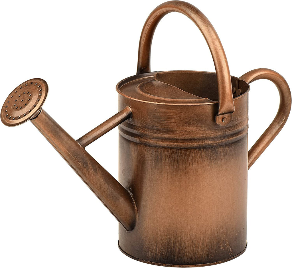 Metal Watering Can for Outdoor Plants, Watering Can 1 Gallon (NewGreen)