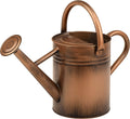 Metal Watering Can for Outdoor Plants, Watering Can 1 Gallon (NewGreen)