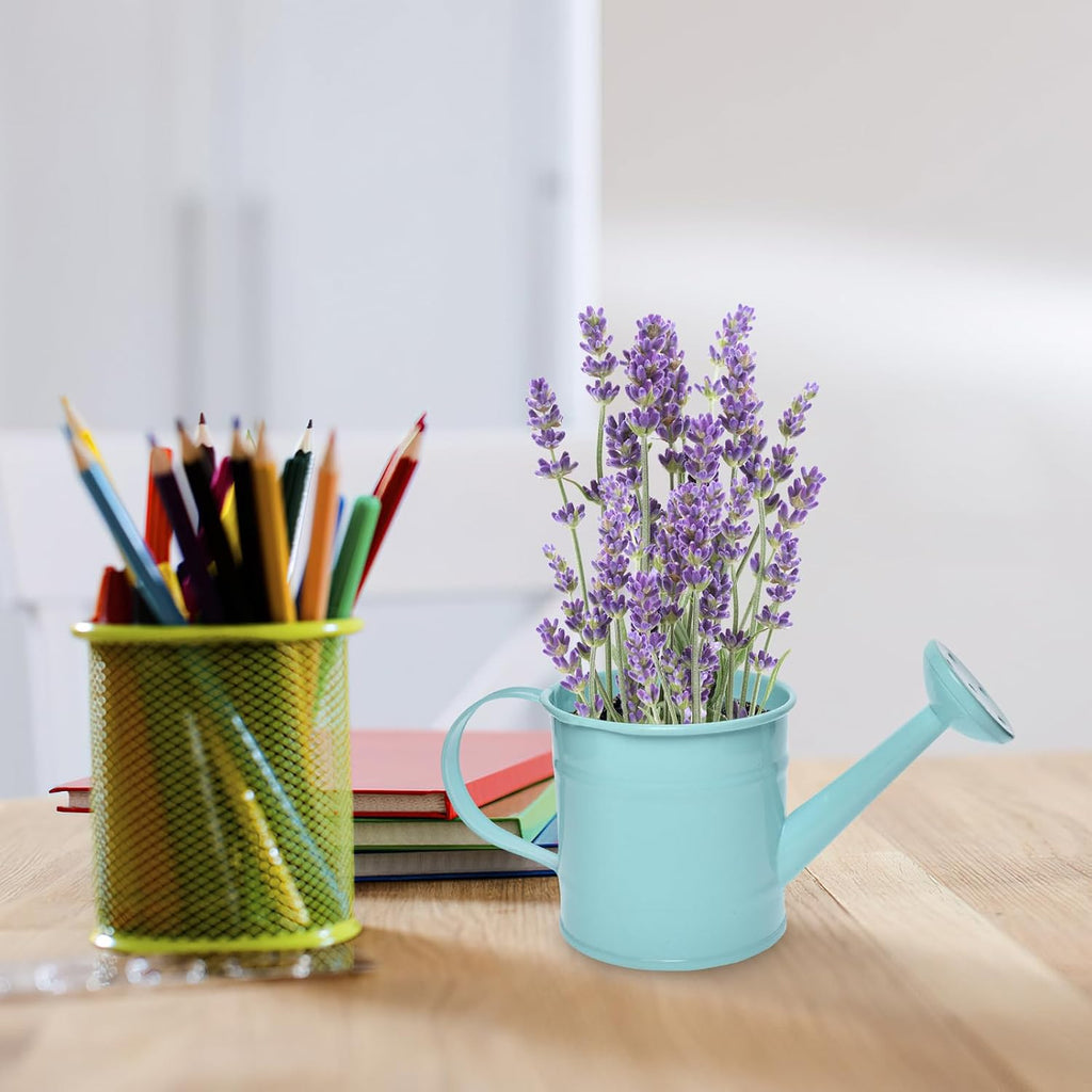 Decorative Mini Tin Watering Can - 0.05Gal Cute Metal Jug for Hand Crafts,Garden-Theme Parties,Plant Pots, Home Decor,Housewarmings, Fun Birthday Gift for Girls and Boys (B/G, S)