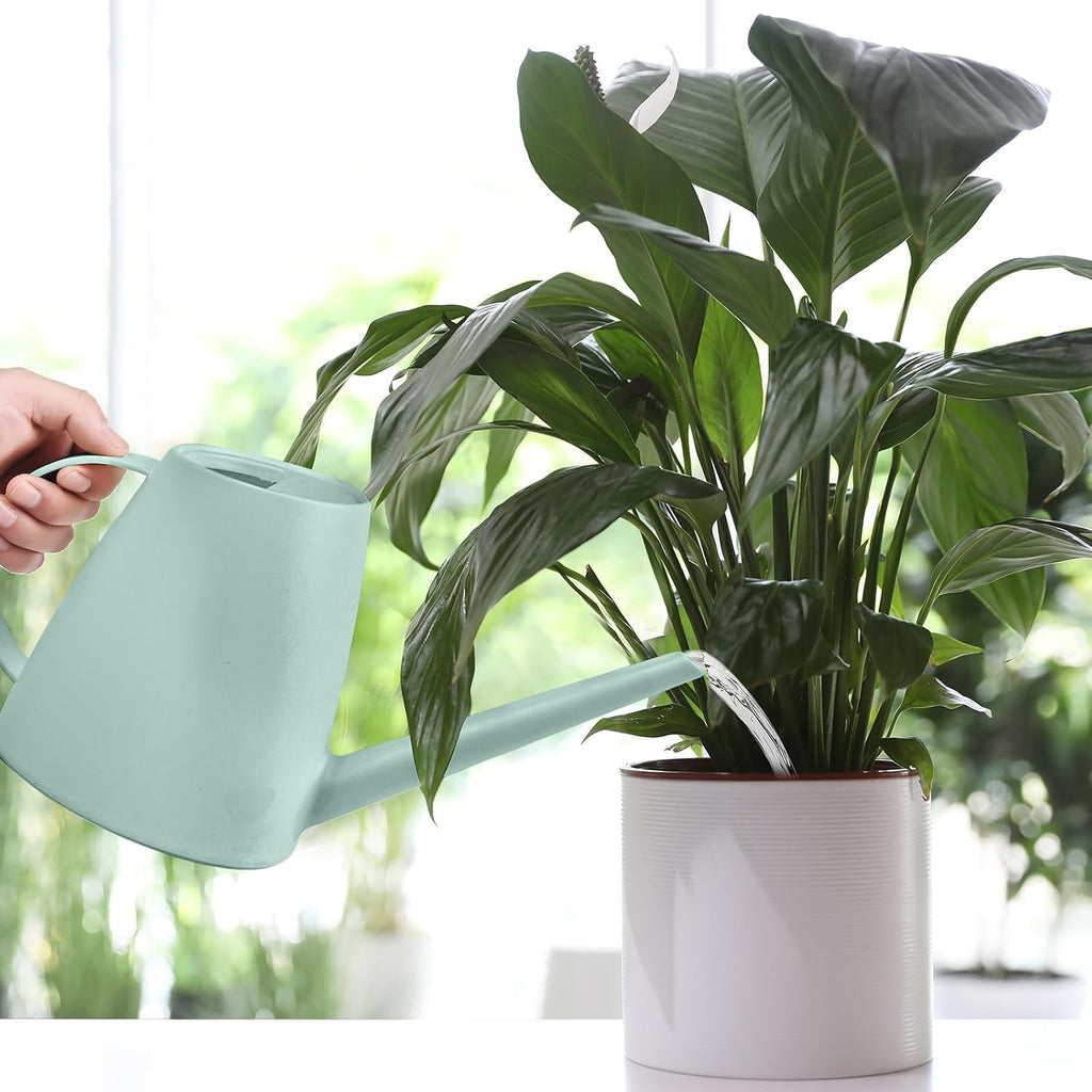 Plant Watering Can - Plastic Indoor and Outdoor - 1/2 Gallon - Light Green