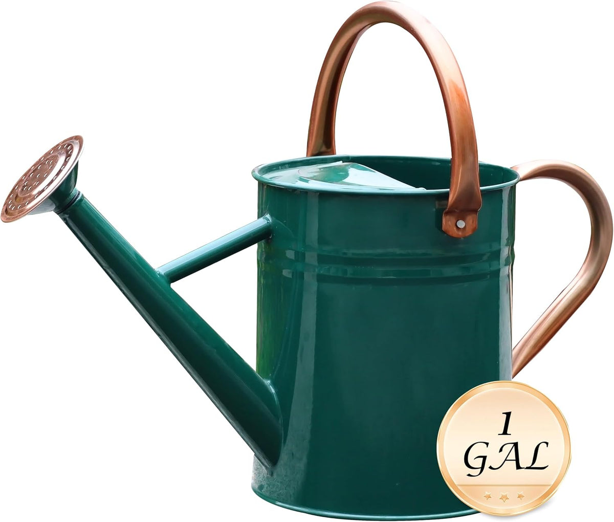 Metal Watering Can for Outdoor Plants, Watering Can 1 Gallon (NewGreen)